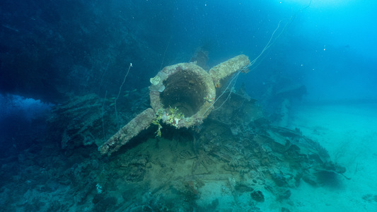 Dive > 2019 > 698 698 20120212 TrukYamagiri