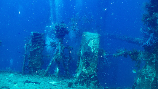 Dive > 2019 > 702 702 20190214 TrukMicroTrader