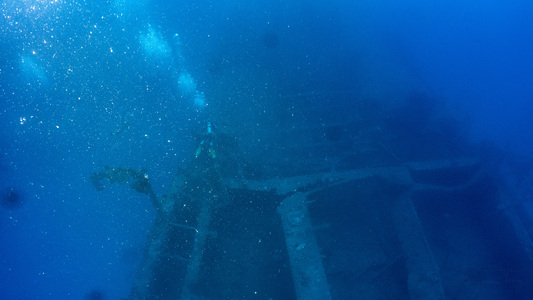 Dive > 2019 > 704 704 20190214 TrukSanFrancisco