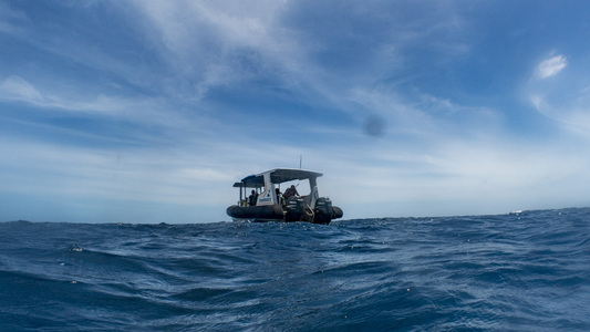 Dive > 2019 > 705 705 20190214 TrukFujikawa