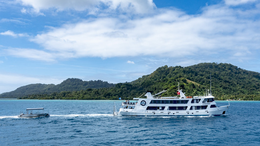 Dive > 2019 > 708 708 20190215 TrukYamagiri