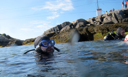 Dive > 2010 > 141 142 20100814 NubbleLight