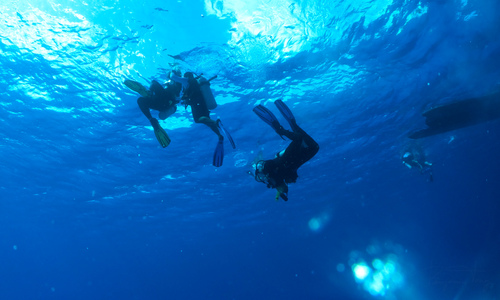 Dive > 2010 > 157 158 20101101 CozumelMon