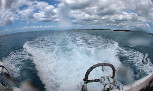 Dive > 2010 > 155 156 20101031 CozumelSun