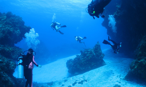 Dive > 2010 > 159 160 20101102 CozumelTue