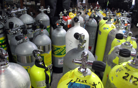 Dive > 2010 > 110 112 20100506 NC Thu