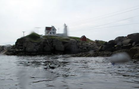 Dive > 2010 > 115 115 20100522 NubbleLight