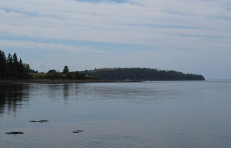 Dive > 2010 > 132 132 20100704 EastportSunPM