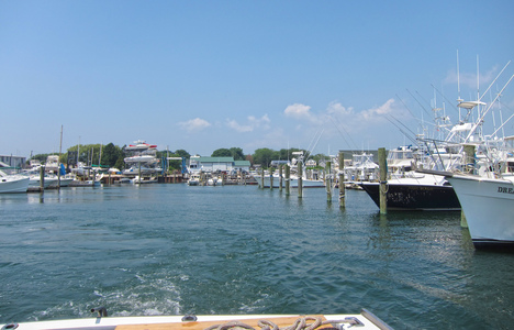 Dive > 2010 > 135 135 20100717 U853