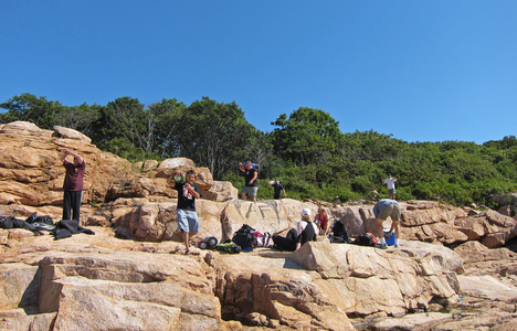 Dive > 2010 > 138 139 20100731 NormansWoe