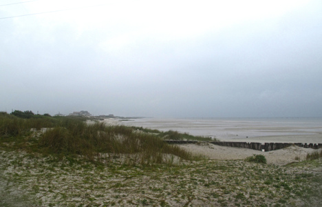 Dive > 2010 > 20100504 NC Tue Islands