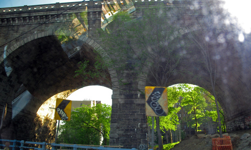 Dive > 2010 > 20100501 NC Sun Beaufort > 800x480
