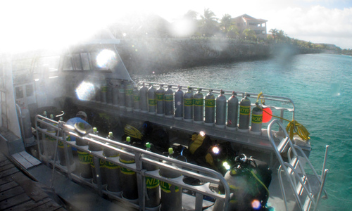 Dive > 2011 > 178 180 20110328 BonaireMon