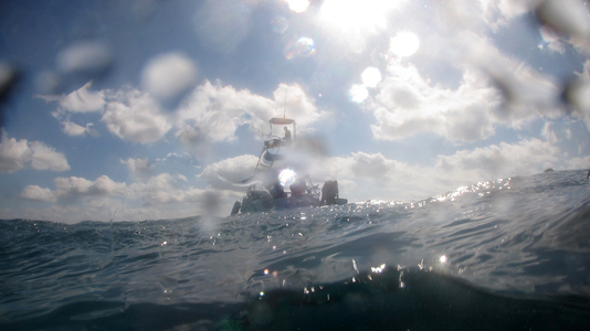 Dive > 2011 > 253 253 20111105 CozumelSat