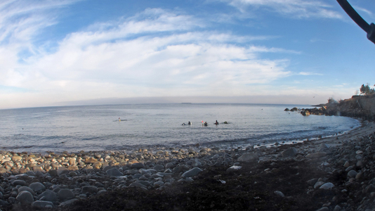 Dive > 2011 > 254 254 20111127 OldGarden