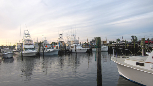 Dive > 2011 > 201 201 20110620 SharkCage