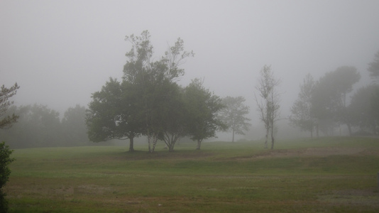 Dive > 2011 > 206 207 10110703 EastportSun