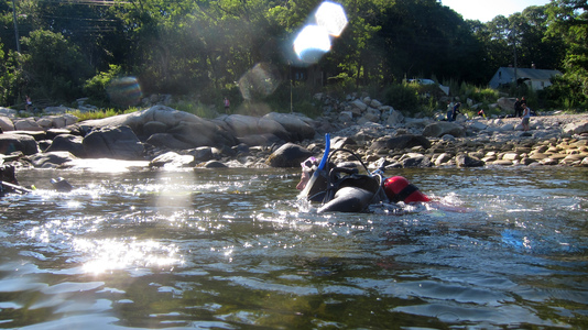 Dive > 2011 > 212 213 20110731 FollyFishCount