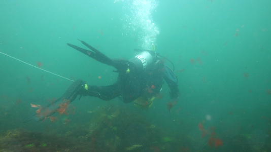 Dive > 2011 > 215 215 20110807 Cathedral