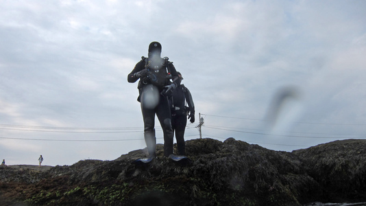 Dive > 2011 > 221 222 20110903 NubbleLight