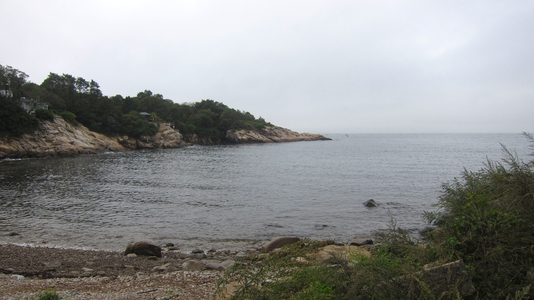 Dive > 2011 > 236 236 20110901 FollyCoveNight