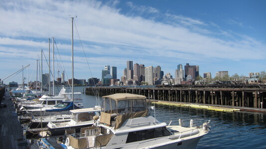 Dive > 2012 > 260 261 20120428 GraveLightScallop