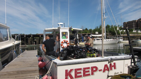 Dive > 2012 > 267 269 20120609 GraveMartinScallop > Original