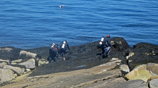 Dive > 2012 > 270 271 20120610 HalibutPoint