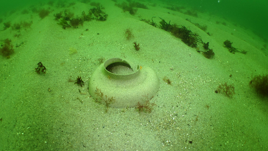 Dive > 2012 > 272 272 20120623 OldGardenBeach