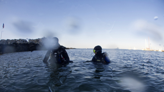 Dive > 2012 > 279 280 20120721 BackBeachSquids > JPEG