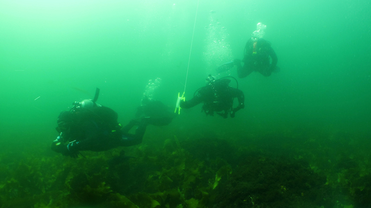 Dive > 2012 > 283 284 20120804 LoblollyCove