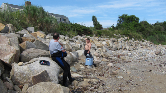 Dive > 2012 > 285 285 20110811 WhaleCove