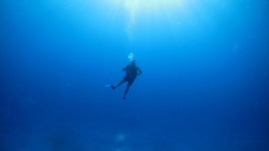 Dive > 2012 > 296 297 20121127 TulumTue