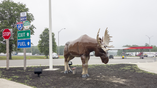 Dive > 2013 > 20130703 EastportTrip