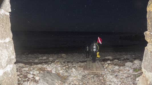 Dive > 2013 > 346 346 20130918 OldGardenNight