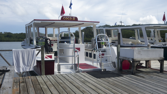 Dive > 2013 > 357 358 20131027 RoatanSunFourtyPointNewmanWall