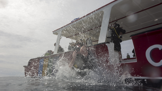 Dive > 2013 > 359 360 20131027 RoatanSunAnksPlaceCocoviewwall