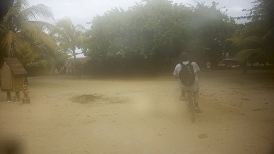 Dive > 2013 > 366 367 20131029 RoatanTuliosWallNewman