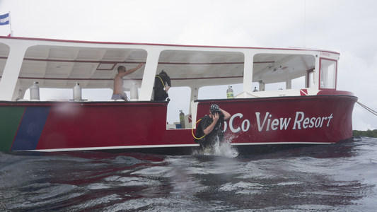 Dive > 2013 > 368 369 20131029 RoatanCalvinCrackCoCoView