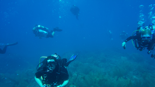 Dive > 2013 > 370 371 20131030 RoatanCayHoleNewmanall