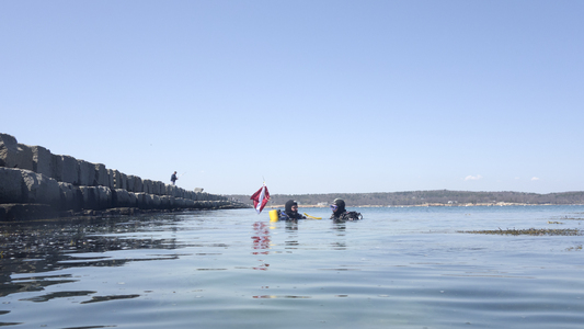 Dive > 2013 > 305 305 20130428 Kim300