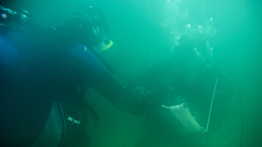 Dive > 2013 > 309 310 20130602 OldGarden