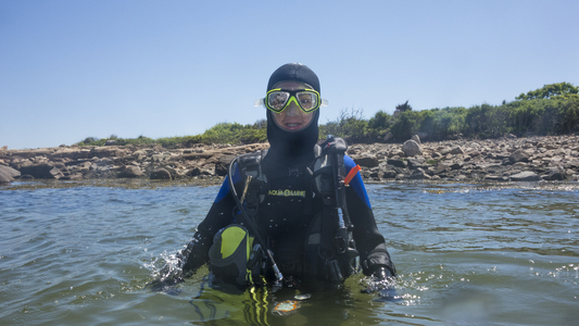 Dive > 2013 > 311 312 20130609 Loblolly