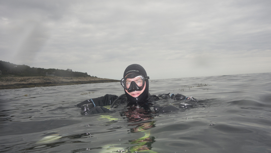 Dive > 2013 > 325 326 20130713 FishCountCatherals