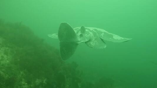 Dive > 2013 > 333 334 20130804 Catheral