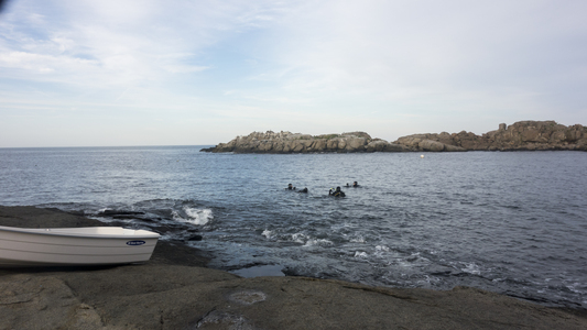 Dive > 2013 > 331 331 20130731 NubbleNight