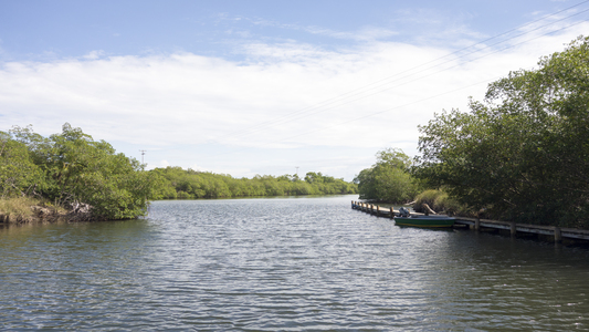 Dive > 2013 > 337 338 20130825 FollyCove > 355 356 20131026 RoatanSatCoCoView