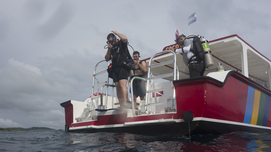 Dive > 2013 > 337 338 20130825 FollyCove > 363 365 20131028 RoatanFirstBrightWallCoCoViewNight