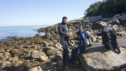 Dive > 2013 > 337 338 20130825 FollyCove > 337 338 20130825 FollyCove