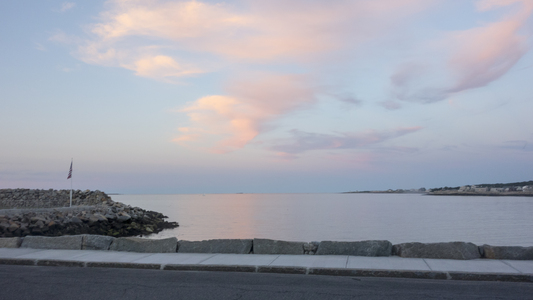 Dive > 2013 > 335 335 20130806 BackBeachSquid